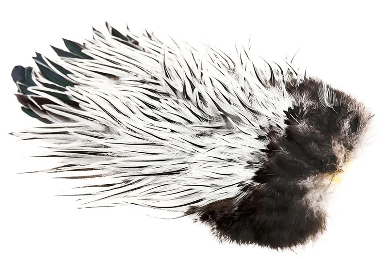 Whiting American Rooster Sattel - Silver Badger