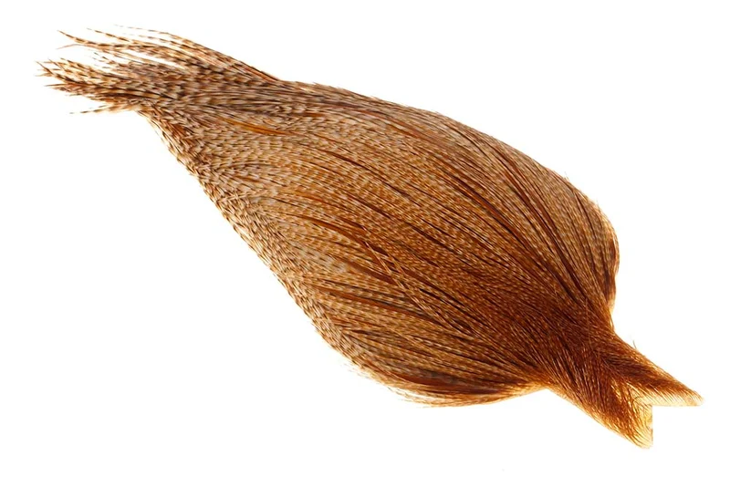 (Profi-Qualität) Whiting Red Label – Dunkelbrauner Ingwer