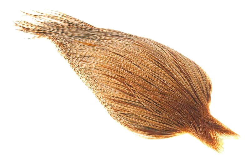 (Profi-Qualität) Whiting Red Label Trockenfliege - Gebändert Mittel Ingwer