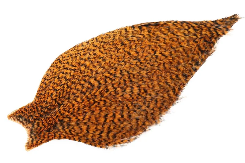 Whiting American Rooster Cape - Grizzly Shrimp Orange