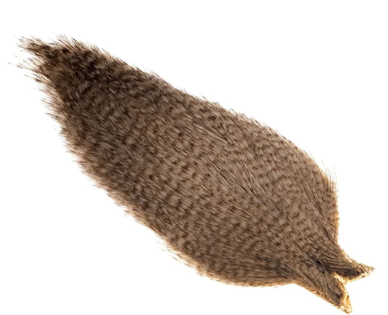 Wittling Coq de Leon Cape - Grizzly Pardo