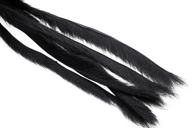 Kiefernhörnchen - Schwarz