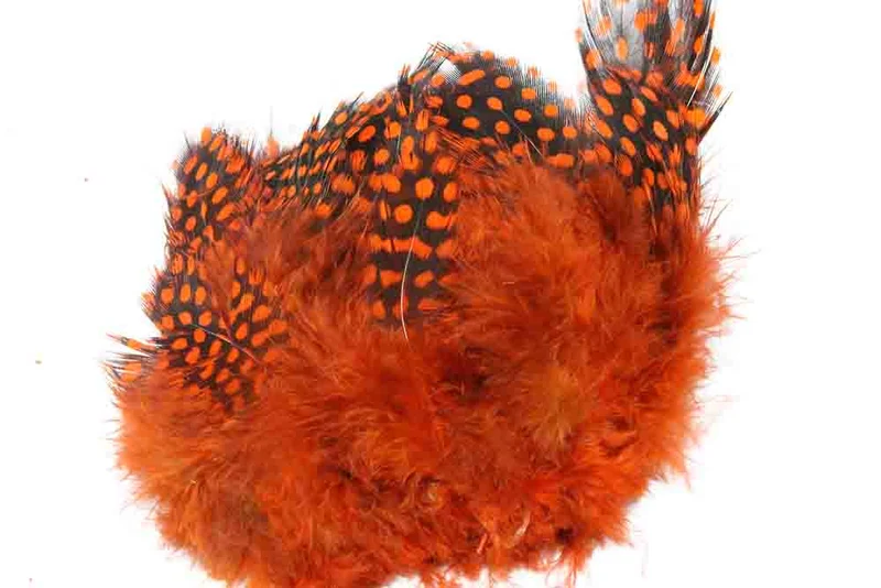 Perlhuhn - Orange