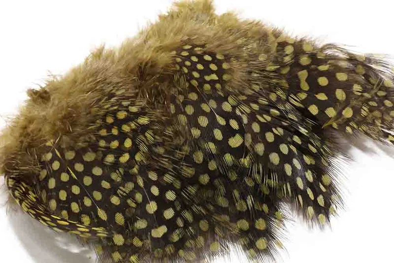 Perlhuhn - Olive