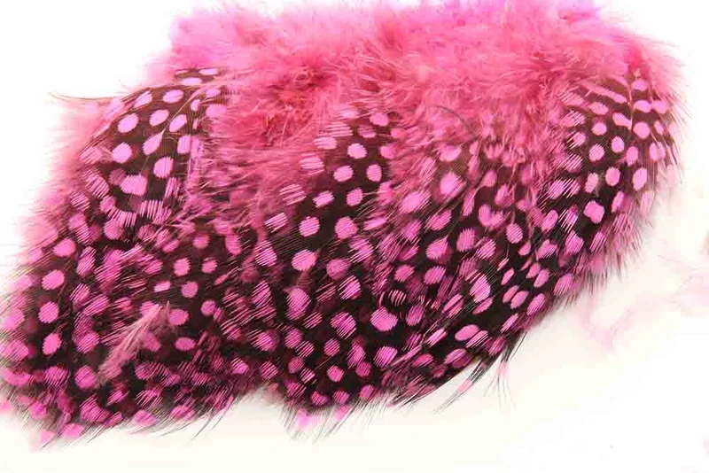 Perlhuhn – Pink