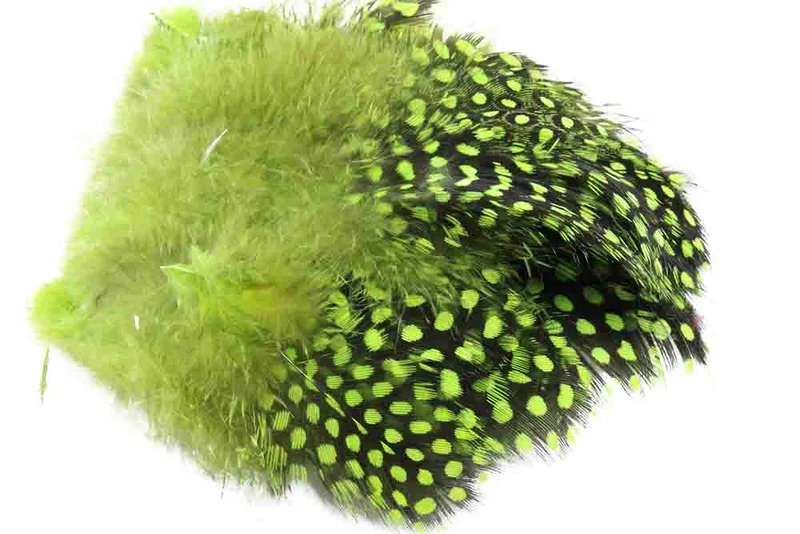 Perlhuhn - Chartreuse