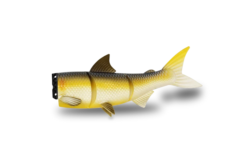 Ersatzkörper · RenkyOne