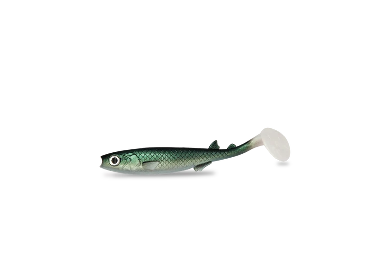 RenkyShad · 15cm