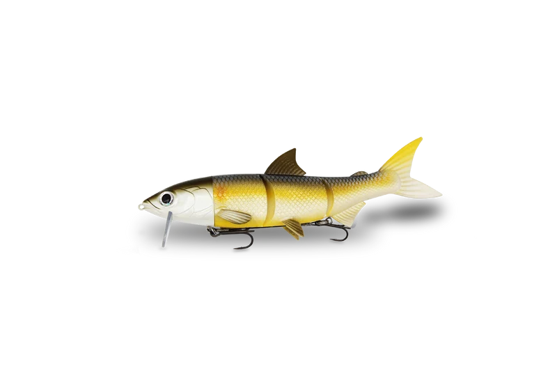 RenkyOne · 18cm