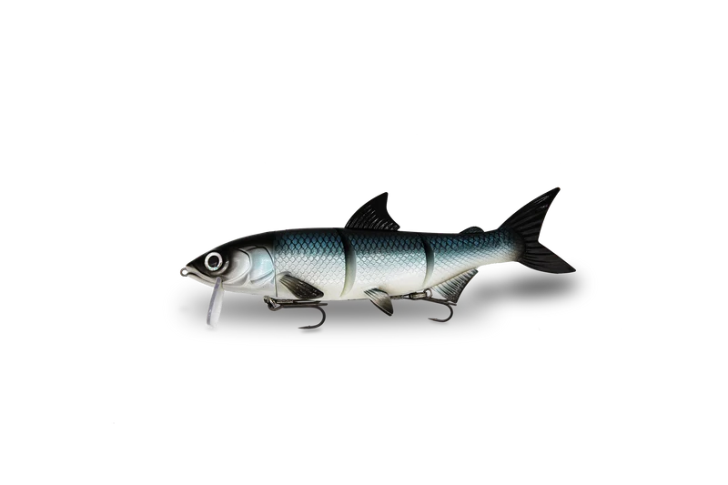 RenkyOne · 18cm