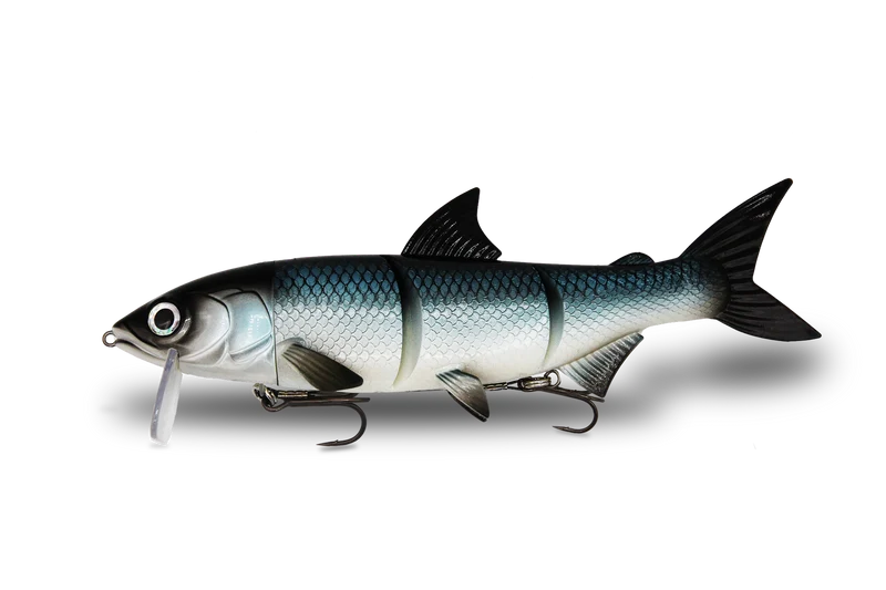 RenkyOne · 25cm