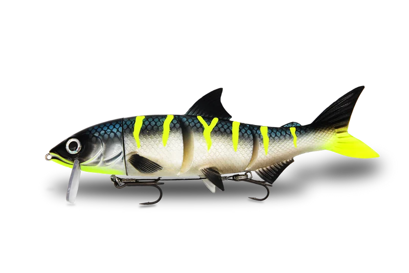 RenkyOne · 25cm