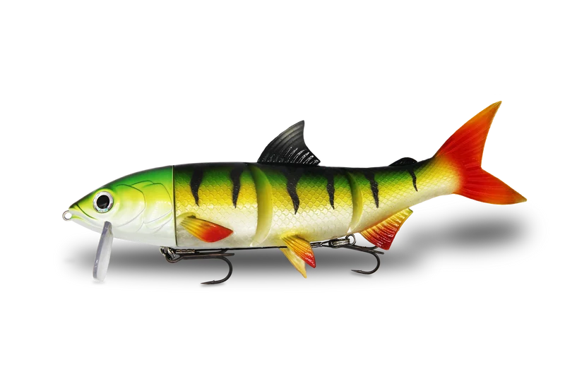 RenkyOne · 25cm