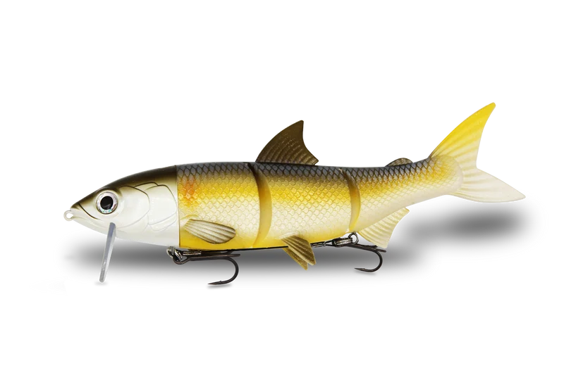 RenkyOne · 25cm
