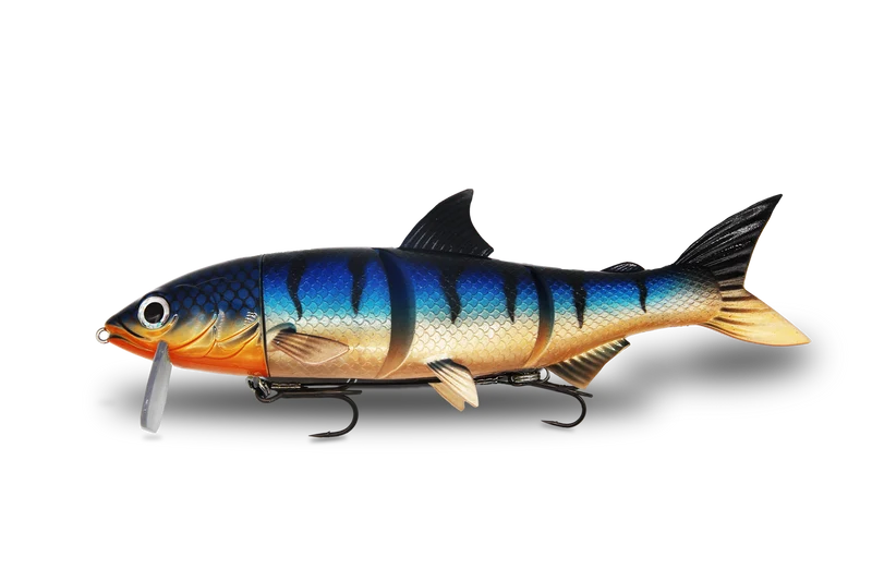 RenkyOne · 25cm