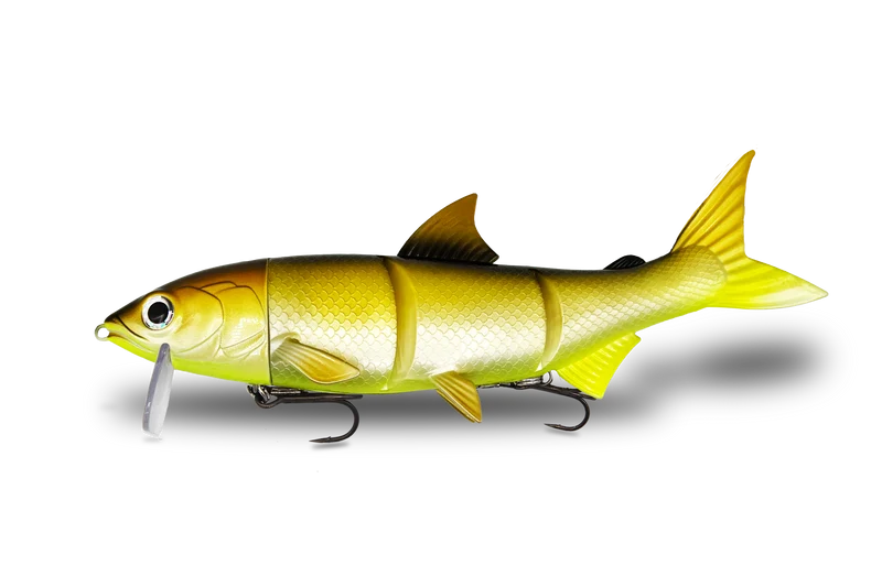 RenkyOne · 25cm