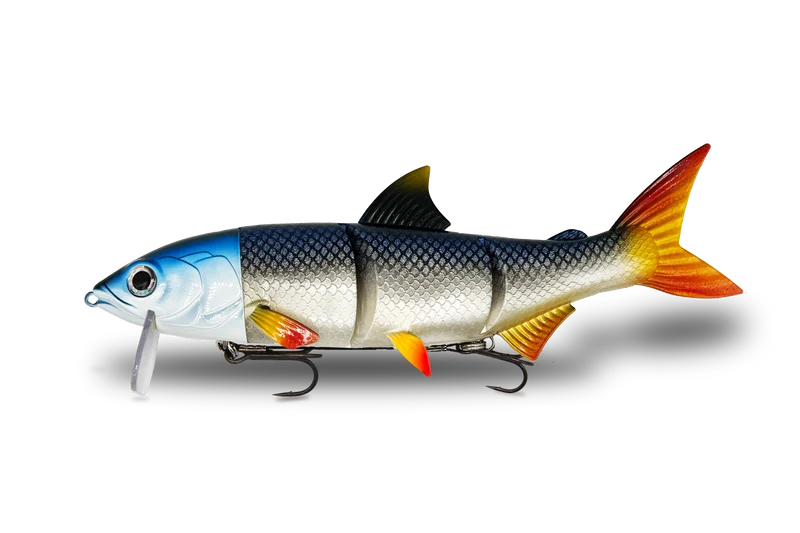 RenkyOne · 25cm