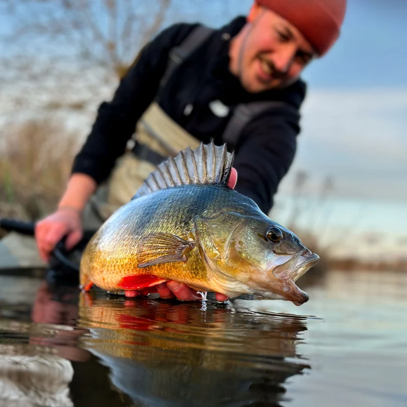 Greenfin Lake Set