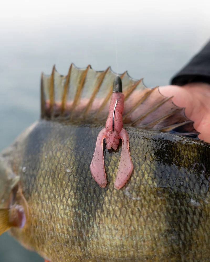 Greenfin LAOLA CRAW 7cm