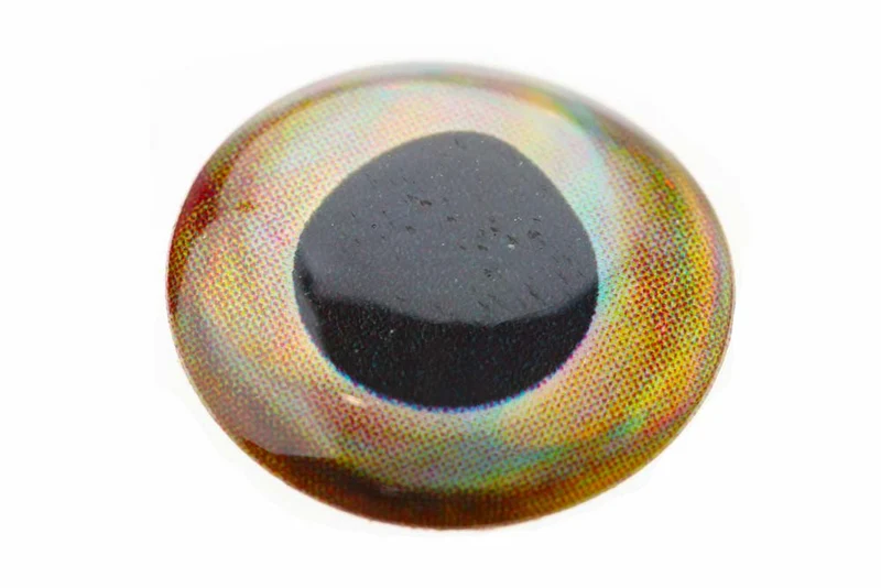 Lebensechte 3D-Epoxidaugen – Eissilber