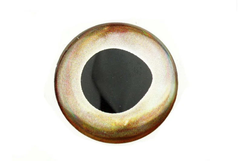 Lebensechte 3D-Epoxidaugen – Eissilber