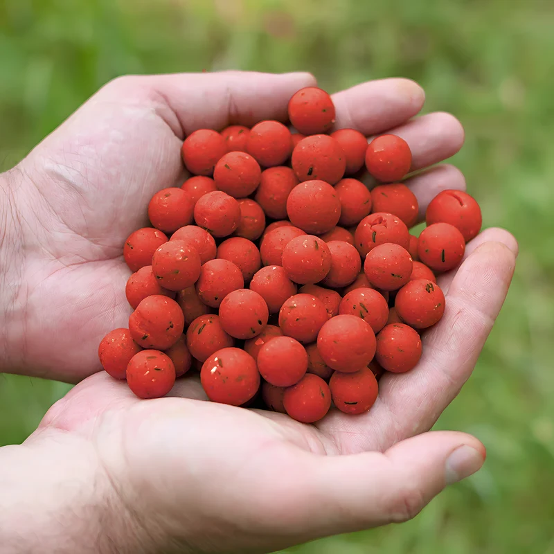 Tasty Baits Erdbeere Boilies – 20 mm – 10 kg Karpfenköder