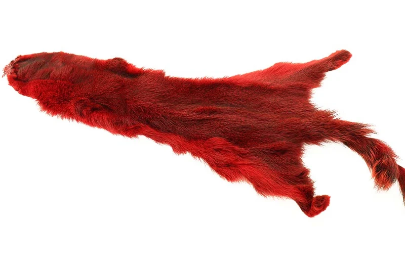 Flyco Goldhörnchen - Rot