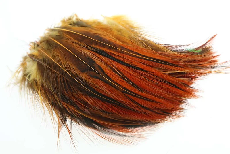 Cock Hackler Badger - Ginger