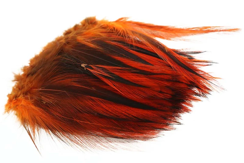 Rooster Hackler Badger - Gebranntes Orange