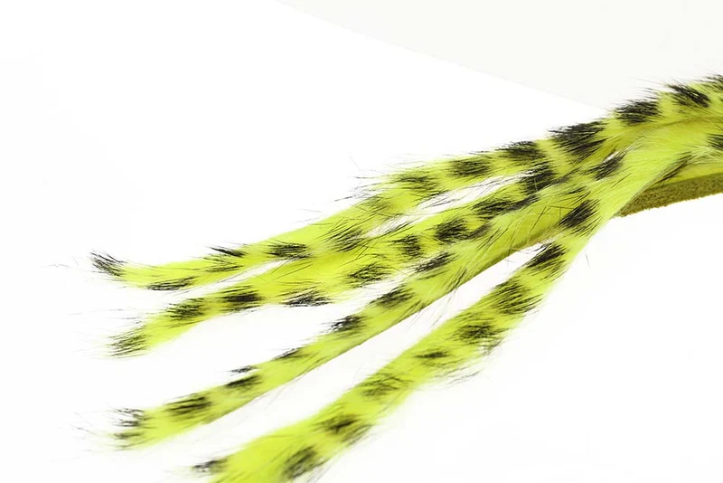3 mm Kaninchenstreifen-Zonkerstripe - Blütengelb