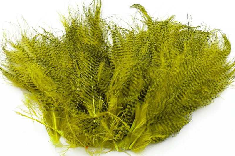 Feingebändertes Marabu - Olive