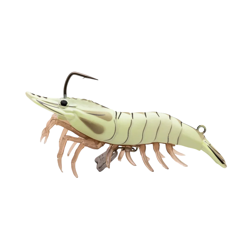 Live Shrimp