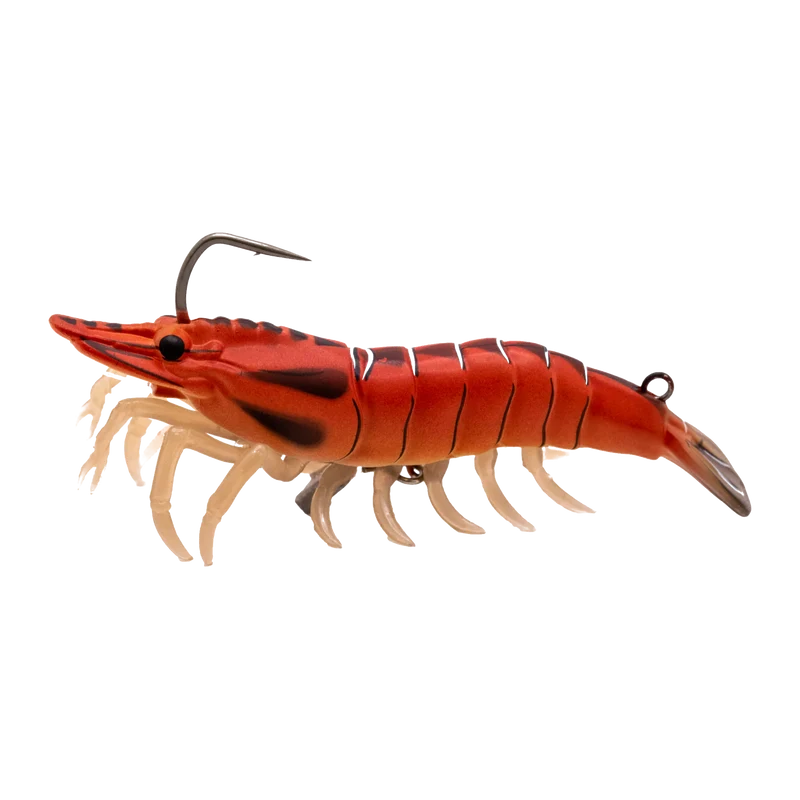 Live Shrimp