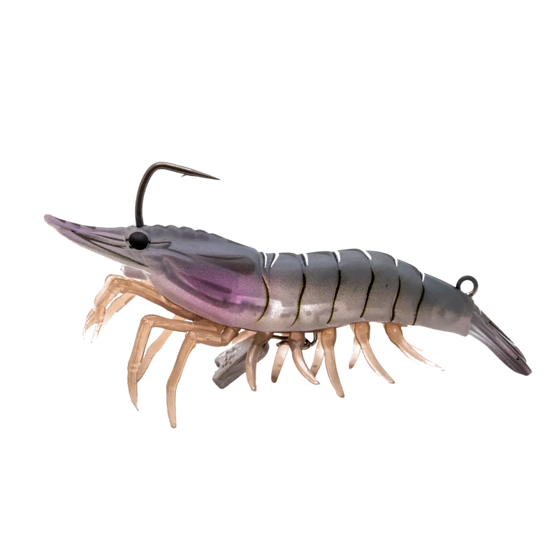 Live Shrimp