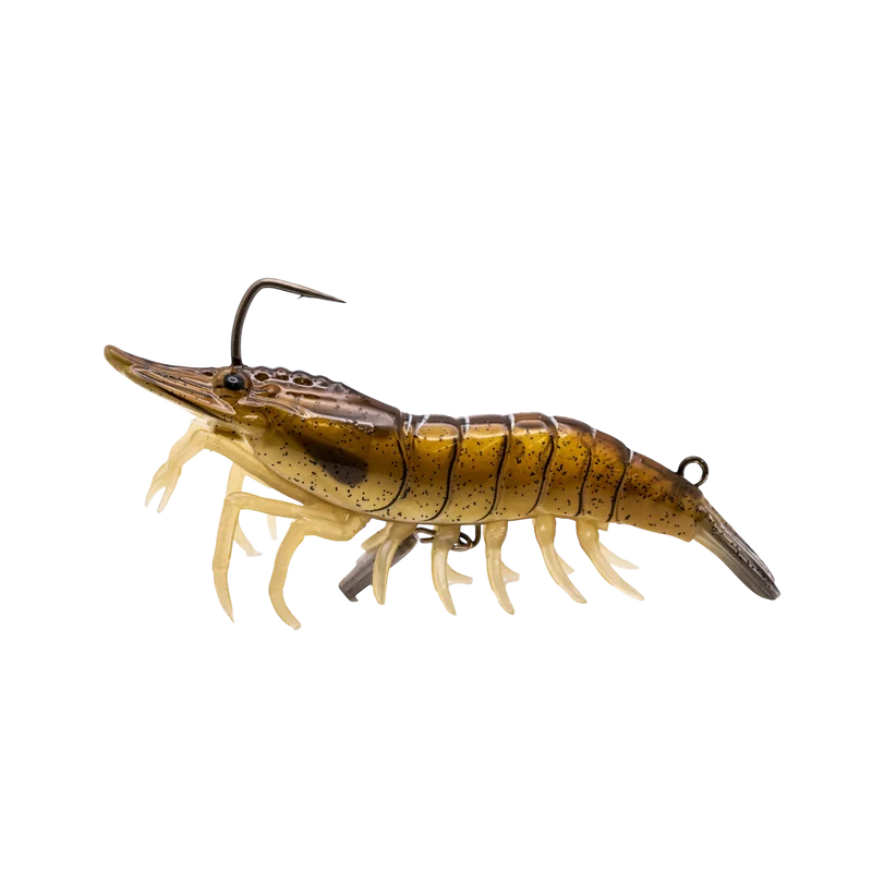 Live Shrimp