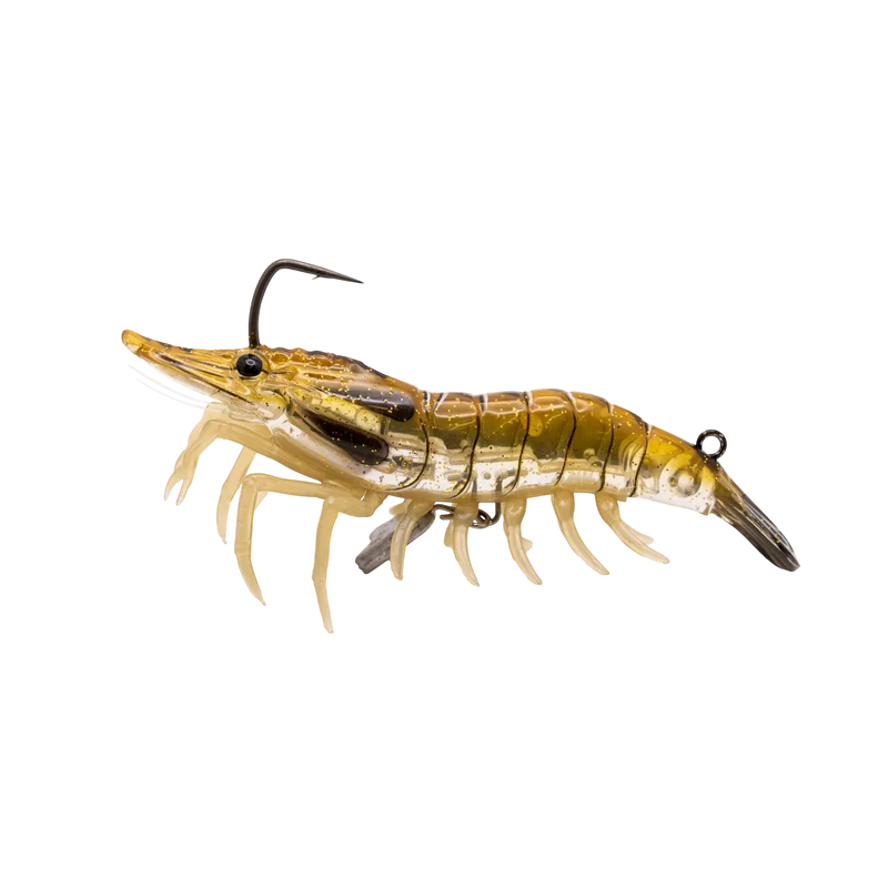 Live Shrimp