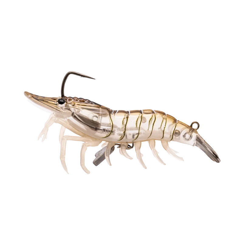 Live Shrimp