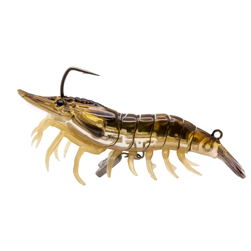 Live Shrimp