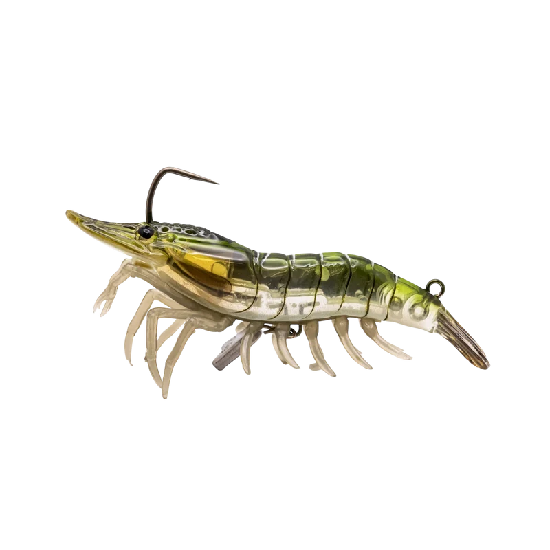 Live Shrimp