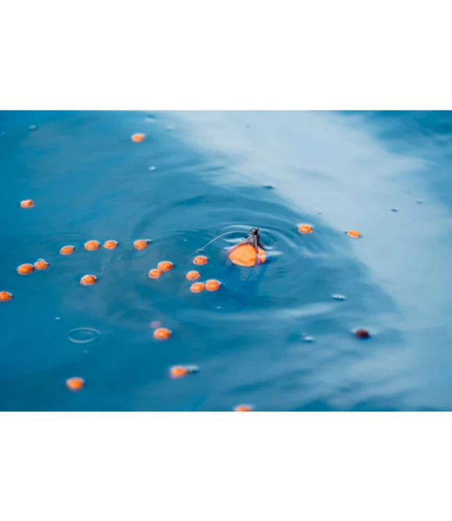 Surface Feeder Float