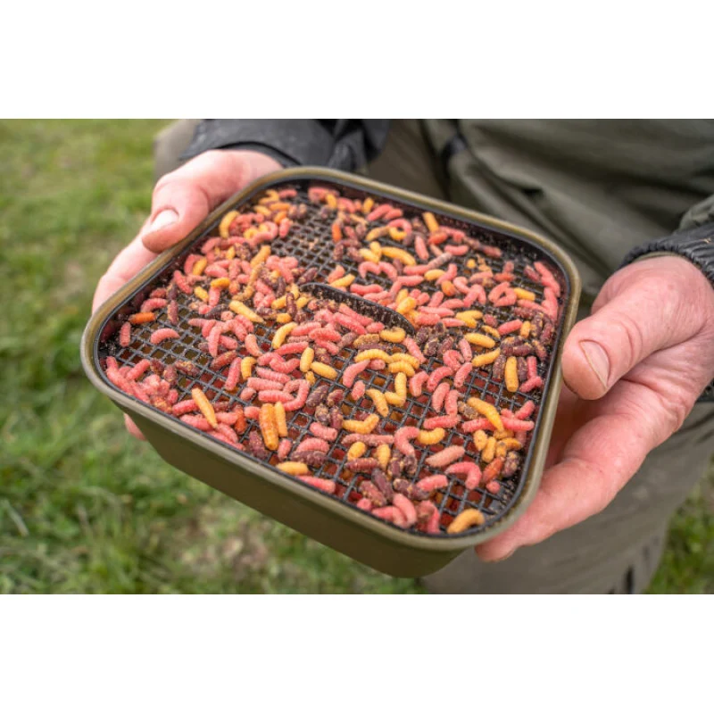 Maggot Tub & Riddle