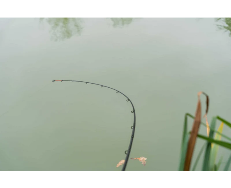 Limitless Feeder