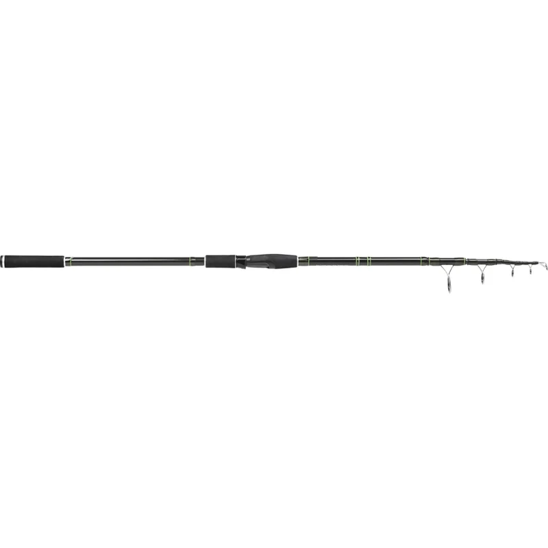 Westin W2 Deadbait Easy Travel Tele Carp 3.25m/-150g