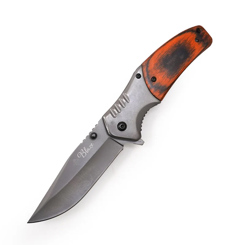 Eurocatch Klappmesser 420RVS Blade