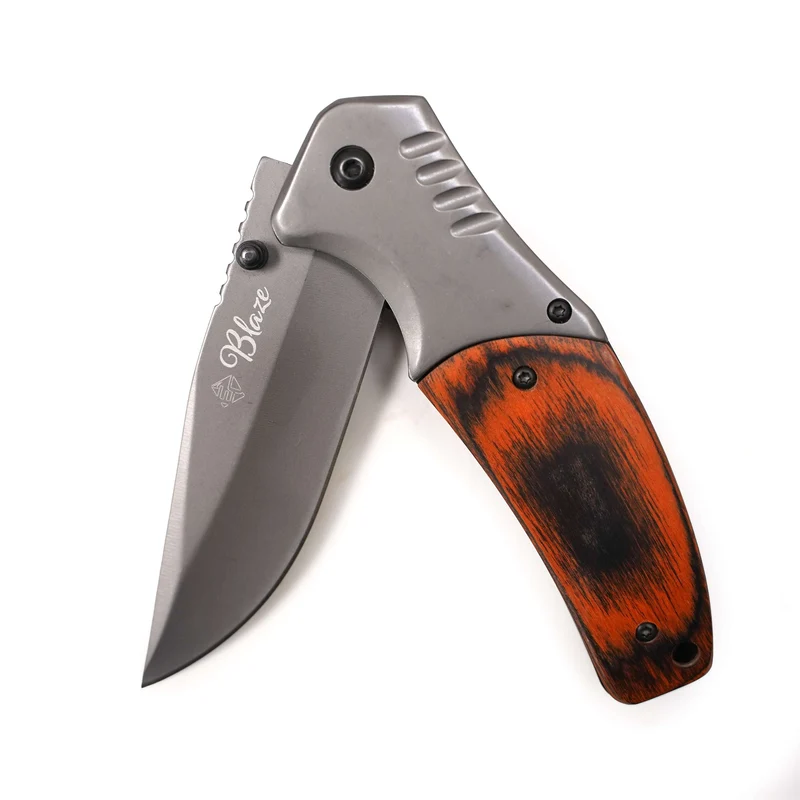 Eurocatch Klappmesser 420RVS Blade