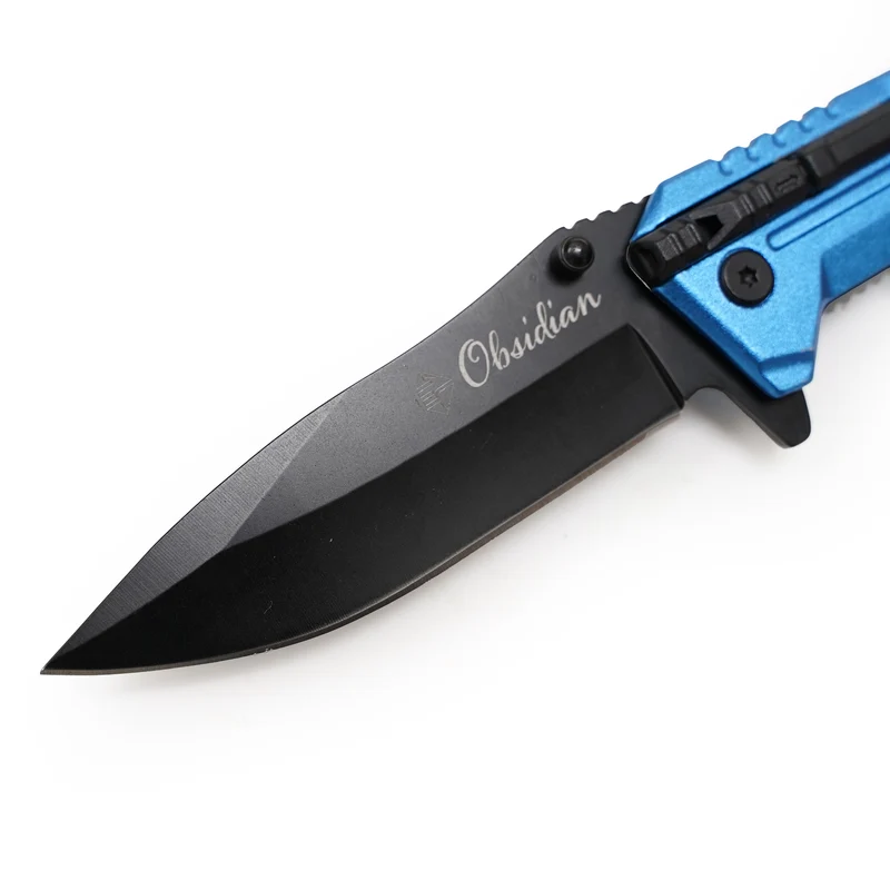 Eurocatch Klappmesser 420RVS Blade