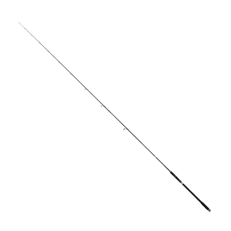 Bullseye Coastguard 3.10m, 10-45g