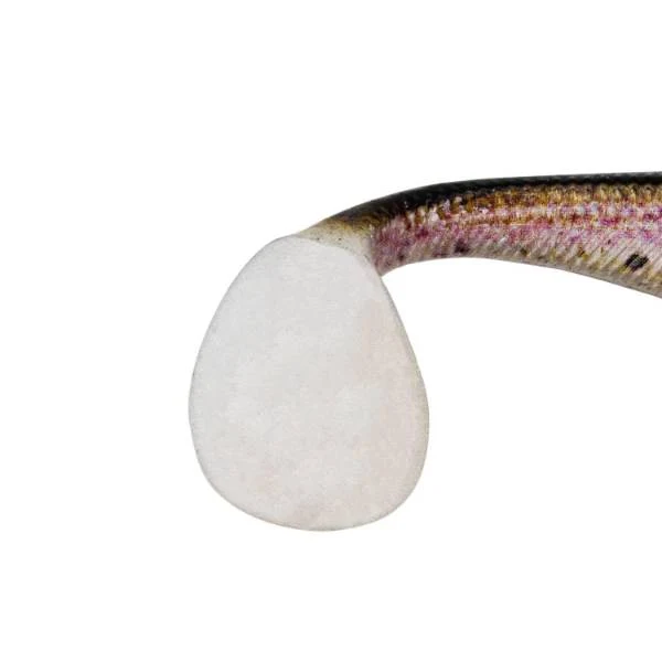 Senshu Real Fin Shad 8cm 4g 4er Set