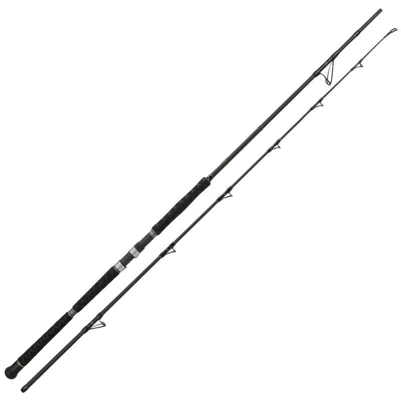Catix Short Range Welsrute 2,70m | 150-450g