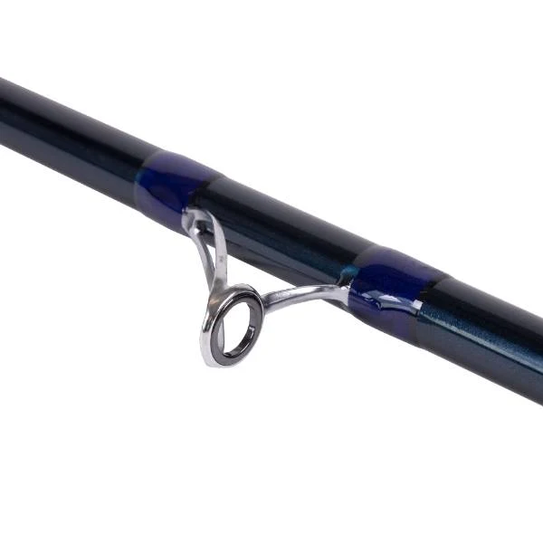 X2 WaveWalker Surf | Brandungsrute | 4.20m | 100-225g
